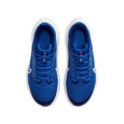 Nike Youth Pegasus 40 Running Shoe - Game Royal/White/Deep Royal - Regular (D) 13 Nike Youth Pegasus 40 Running Shoe - Game Royal/White/Deep Royal - Regular (D) -Sports Shoe Store AURORA DX2498 400 PHCTH001 2000