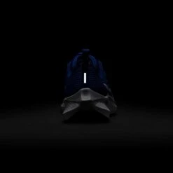 Nike Youth Pegasus 40 Running Shoe - Game Royal/White/Deep Royal - Regular (D) 15 Nike Youth Pegasus 40 Running Shoe - Game Royal/White/Deep Royal - Regular (D) -Sports Shoe Store AURORA DX2498 400 PHSBH200 2000