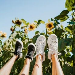 Women's X-SCAPE NBK Low Sneaker - Blanc/Light Grey - Regular (B) 20 Women's X-SCAPE NBK Low Sneaker - Blanc/Light Grey - Regular (B) -Sports Shoe Store womens x scape nbk low blanc light grey ls 3 800x 70e971bc eee0 4189 bdde 434a0688a562